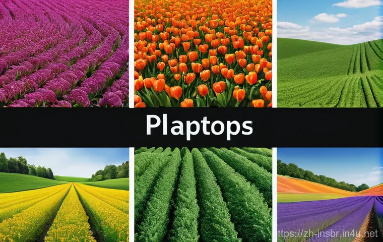 보험중개사 자격증으로 시작할 수 있는 직업 옵션 - Here are three detailed image prompts in English: