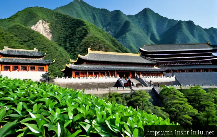 保险经纪参与的新型保险方案案例:如何评估保障效果、费用与服务价值 4 보험중개사와 관련된 최신 보험 상품 성공 사례 관련 이미지 2